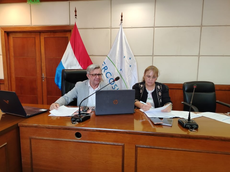 XI Reunión del Comité Técnico, RMAGIR – MERCOSUR,